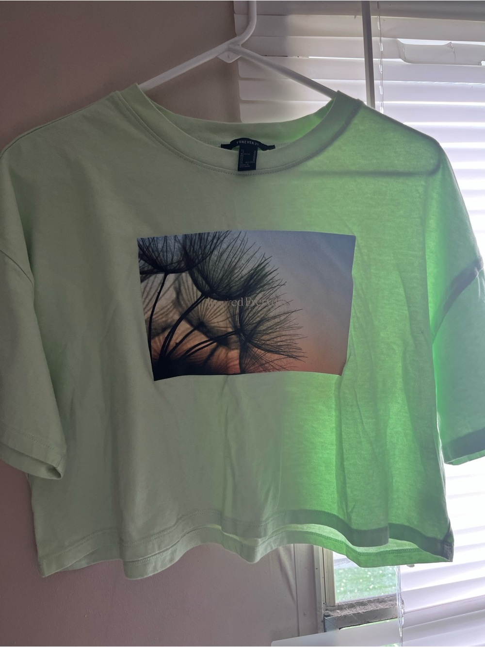 Forever 21 Mint Green Dandelion Photo Crop Tee